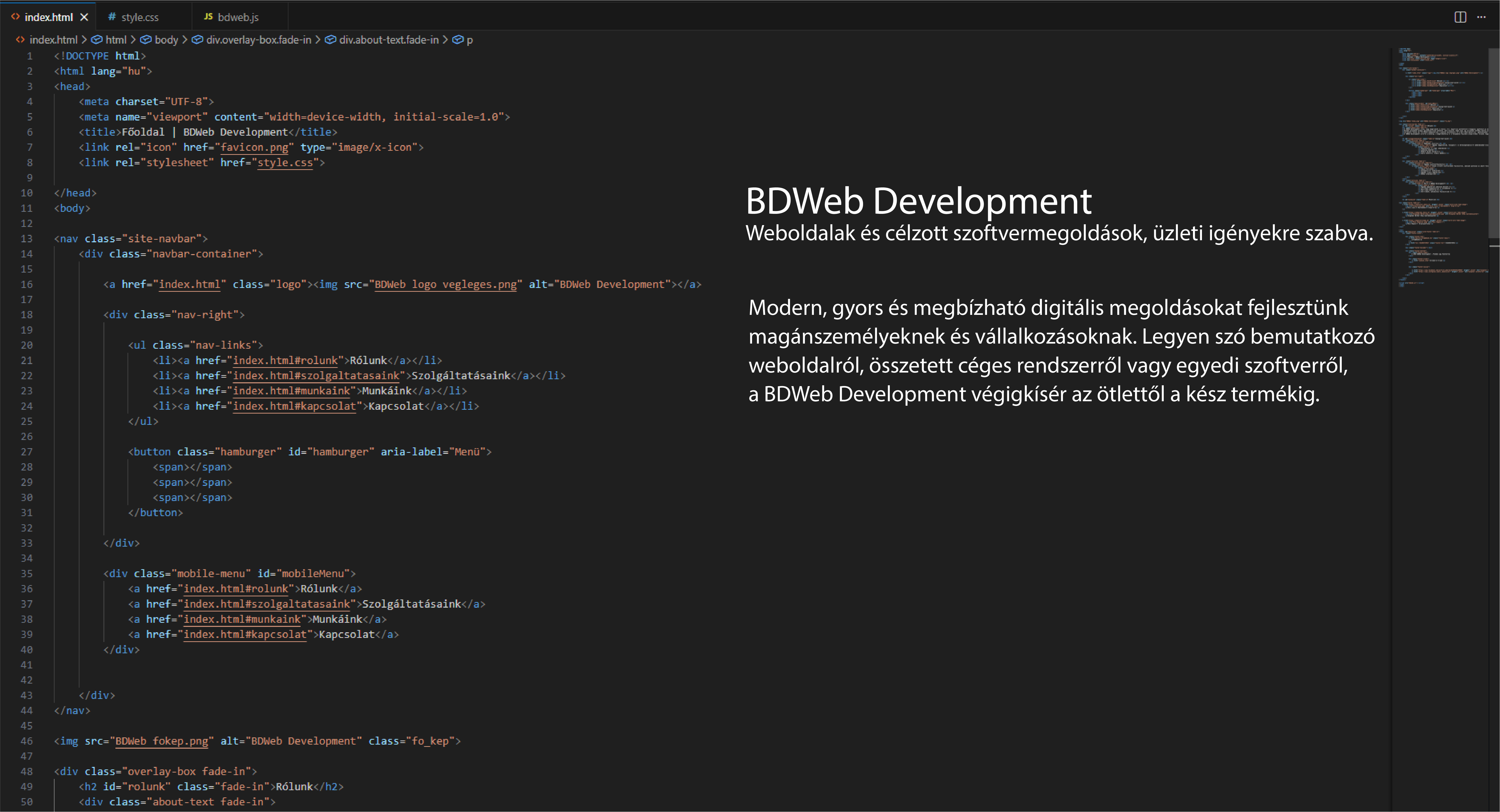 BDWeb Development